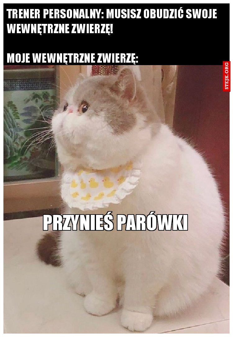 Musisz obudzić swoje wewnętrne zwierzę!