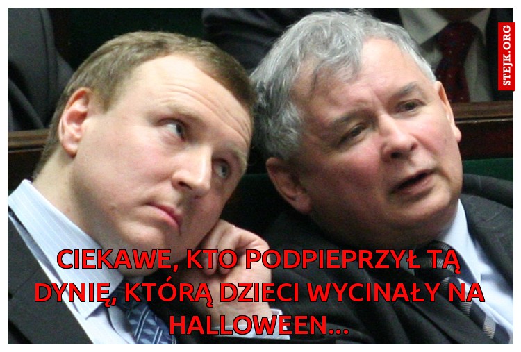 ciekawe, kto podpieprzył tą dynię, którą dzieci wycinały na halloween...