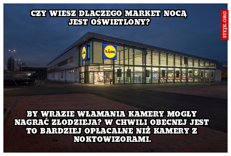 by wrazie włamania kamery mogły nagrać złodzieja? W chwili obecnej jest to bardziej opłacalne niż kamery z noktowizorami.
