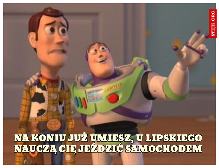 na koniu już umiesz, u lipskiego nauczą cię jeździć samochodem