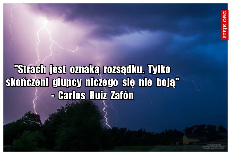 "Strach  jest  oznaką  rozsądku.  Tylko skończeni  głupcy  niczego  się  nie  boją" -  Carlos  Ruiz  Zafón