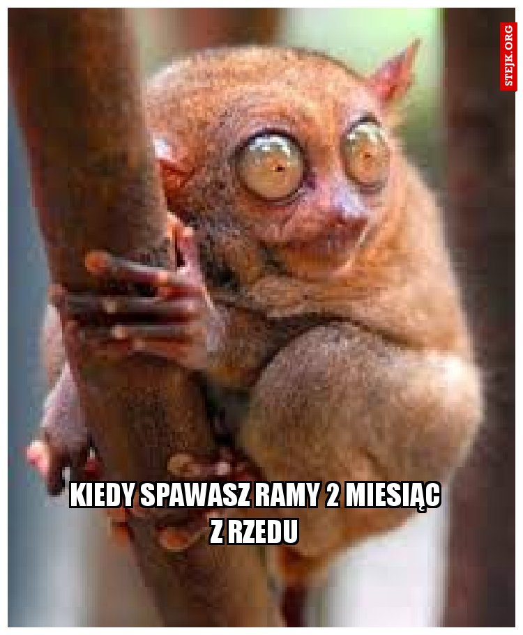 Kiedy spawasz ramy 2 miesiąc z rzedu