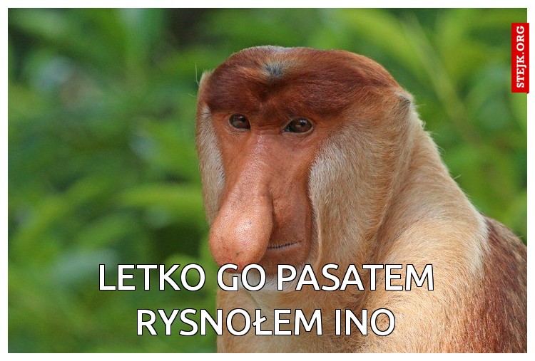 Letko go pasatem rysnołem ino
