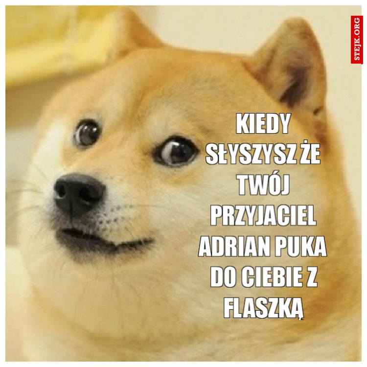 Kiedy słyszysz że twój przyjaciel Adrian puka do ciebie z flaszką