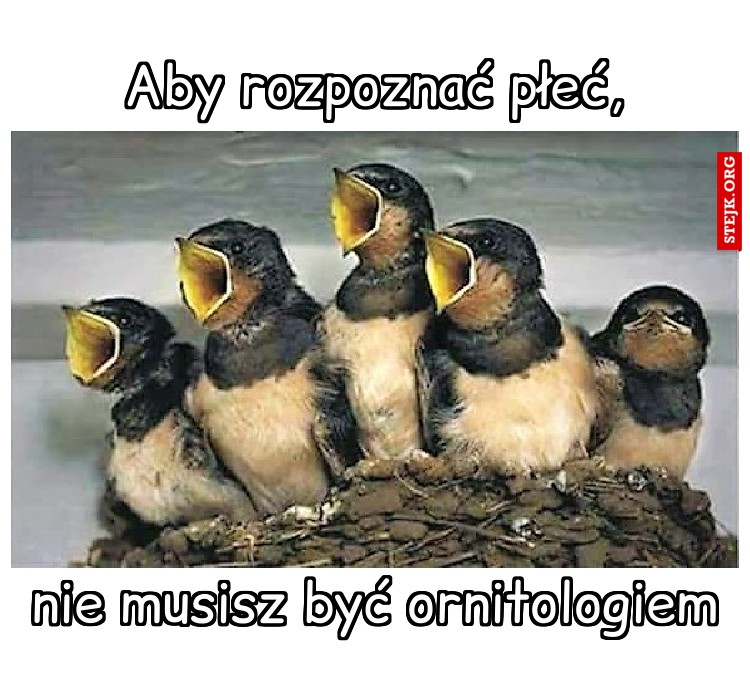 Aby rozpoznać płeć,