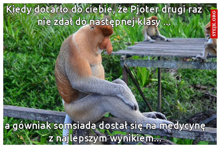 Kiedy dotarło do ciebie, że Pjoter drugi raz nie zdał do następnej klasy ...