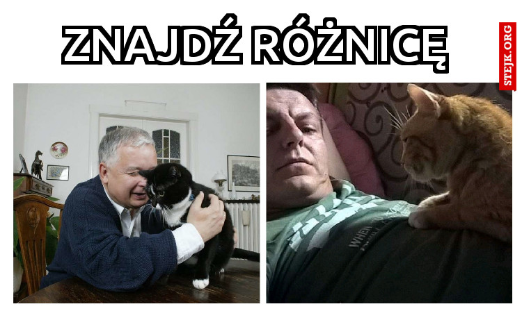 Znajdź różnicę