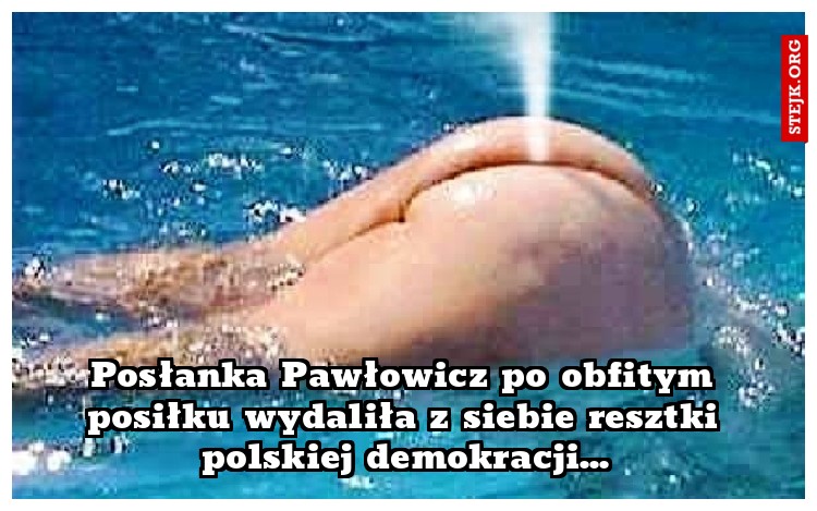 Posłanka Pawłowicz po obfitym posiłku wydaliła z siebie resztki polskiej demokracji...