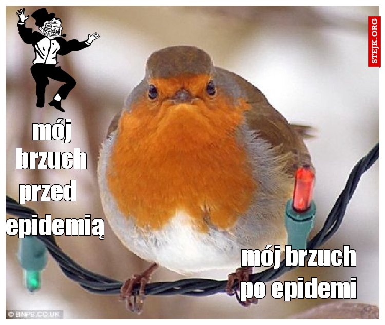ja po epidemi