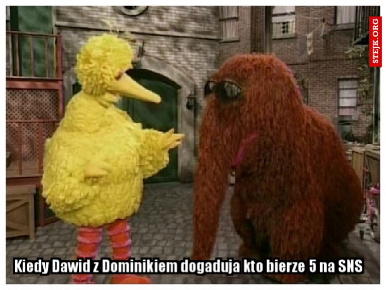 Kiedy Dawid z Dominikiem dogaduja kto bierze 5 na SNS