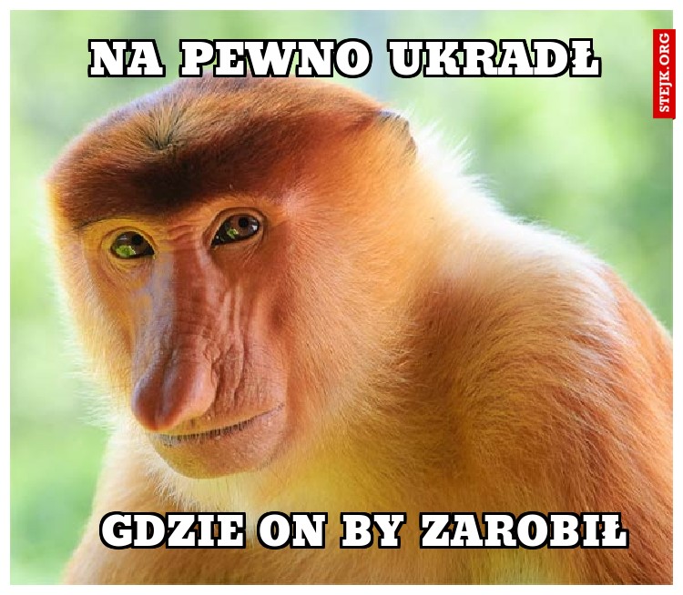 NA PEWNO UKRADŁ