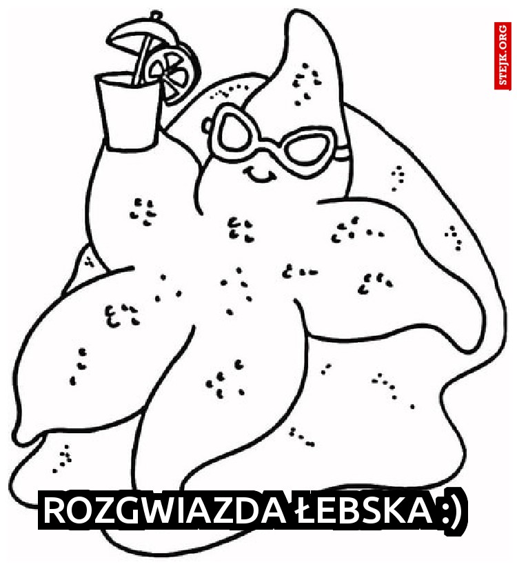 Rozgwiazda Łebska :) 