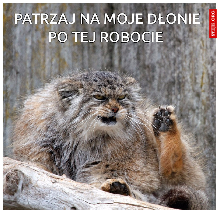 Tak pani Dyrektor już się biere za robote 