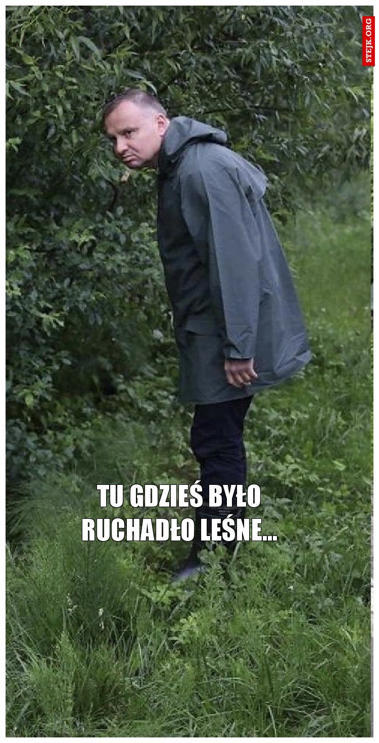 Tu gdzieś było Ruchadło Leśne...