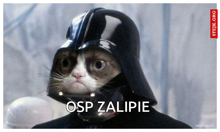 Osp zalipie 