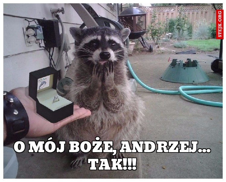 O mój Boże, Andrzej... TAK!!!