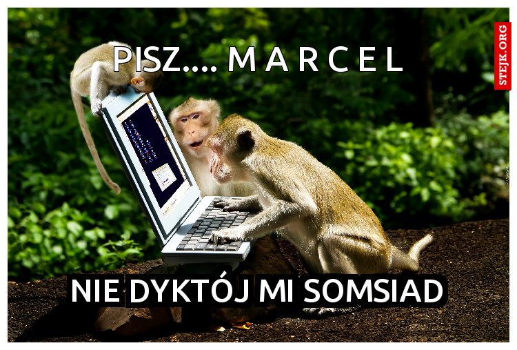 pisz.... M a r c e l