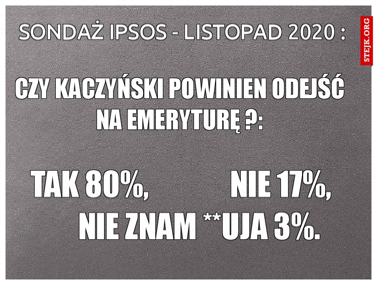 Sondaż Ipsos - listopad 2020 :