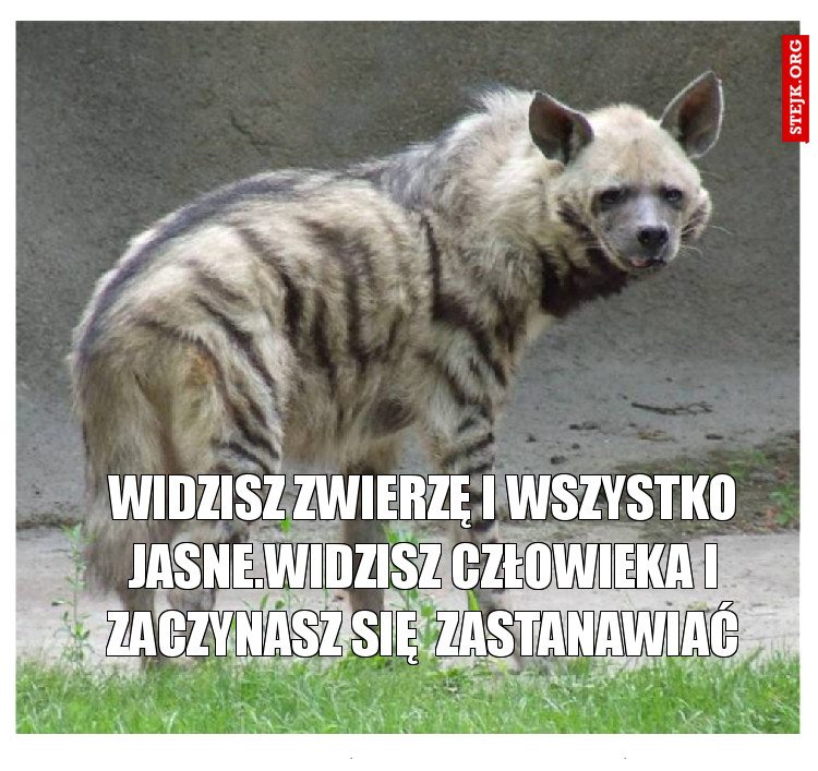 Widzisz zwierzę i wszystko jasne.Widzisz człowieka i zaczynasz się  zastanawiać