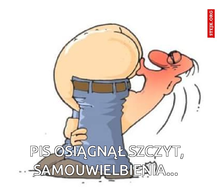 Pis osiągnął szczyt, 