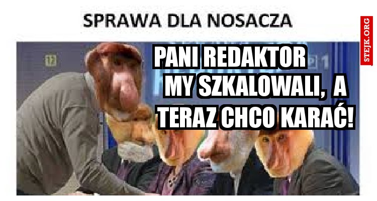 Pani Redaktor