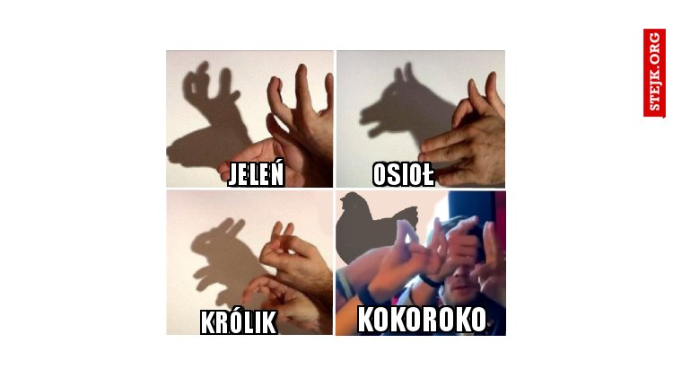 kokoroko
