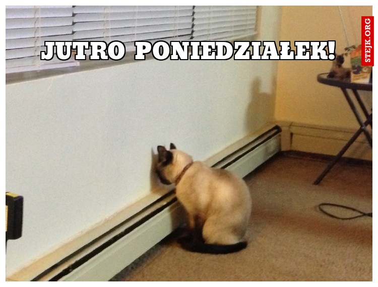 Jutro poniedziałek!