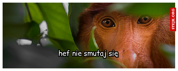 hef nie smutaj się