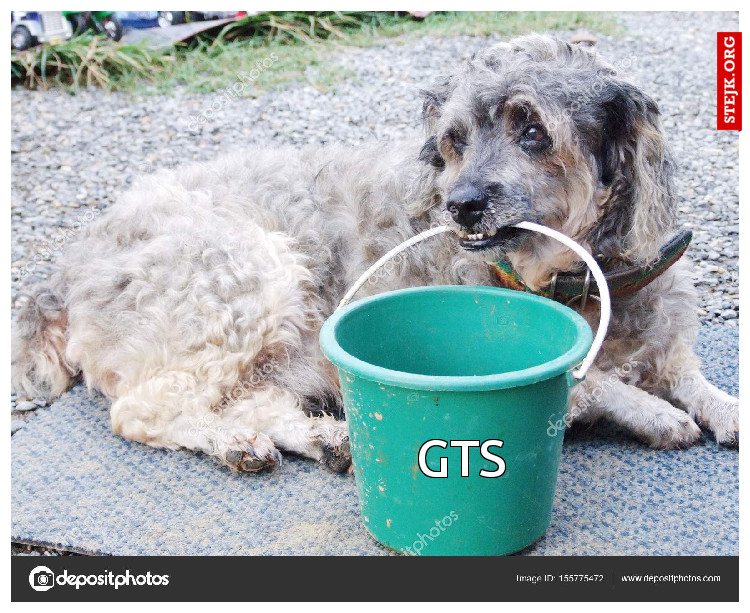 GTS