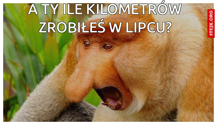 a ty ile kilometrów zrobiłeś w lipcu?