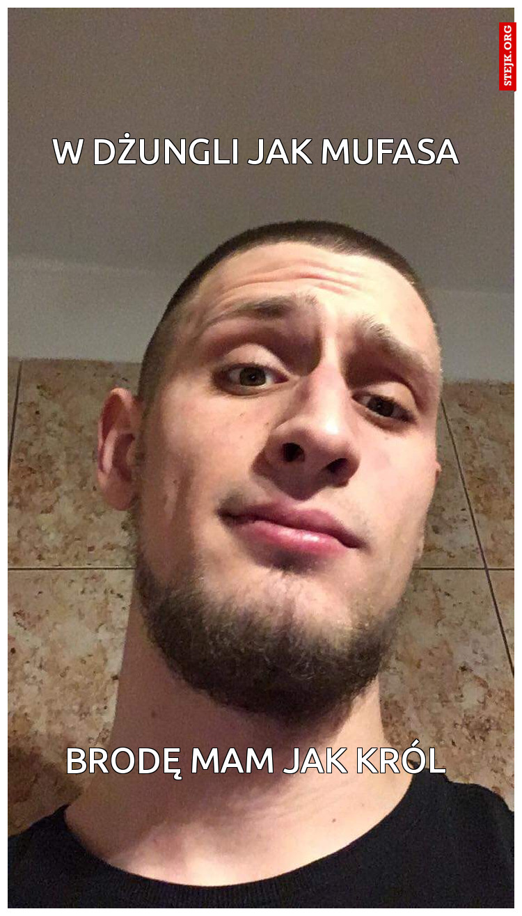 W dżungli jak mufasa