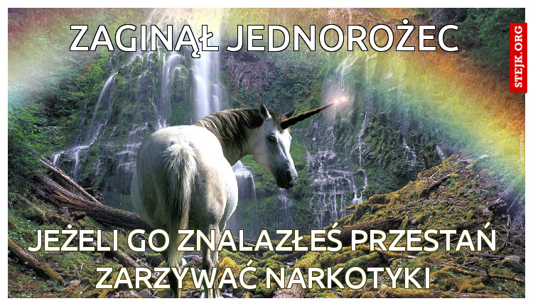 Zaginął jednorożec