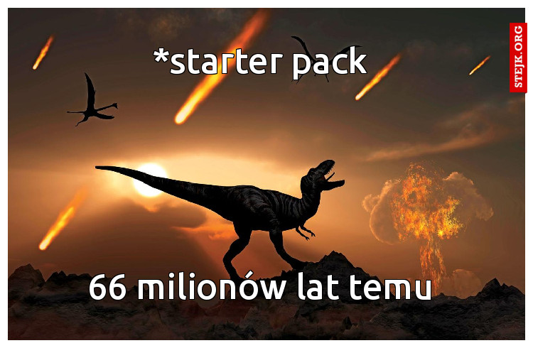 *starter pack 