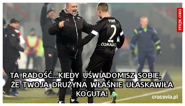 TA  RADOŚĆ...KIEDY  UŚWIADOMISZ  SOBIE,        ŻE  TWOJA  DRUŻYNA  WŁAŚNIE  UŁASKAWIŁA KOGUTA!