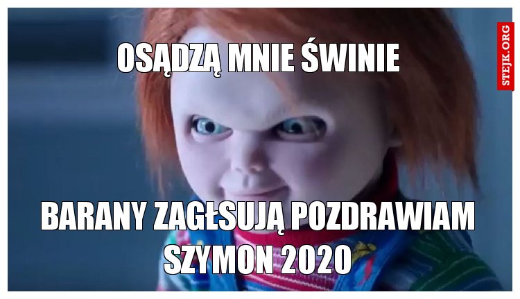 OSĄDZĄ MNIE ŚWINIE