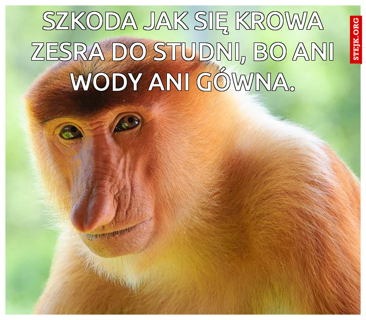 Szkoda jak się krowa zesra do studni, bo ani wody ani gówna.