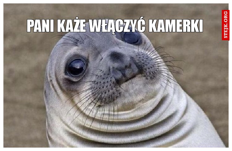 pani każe włączyć kamerki