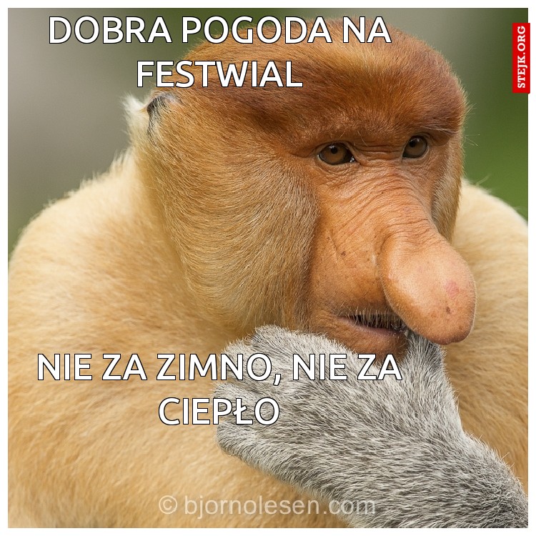 Dobra pogoda na festwial
