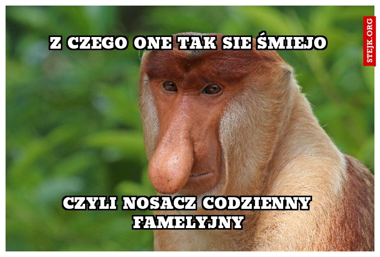Z czego one tak sie śmiejo