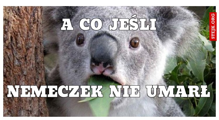 A CO JEŚLI