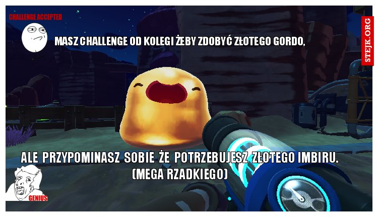 Złoty challenge
