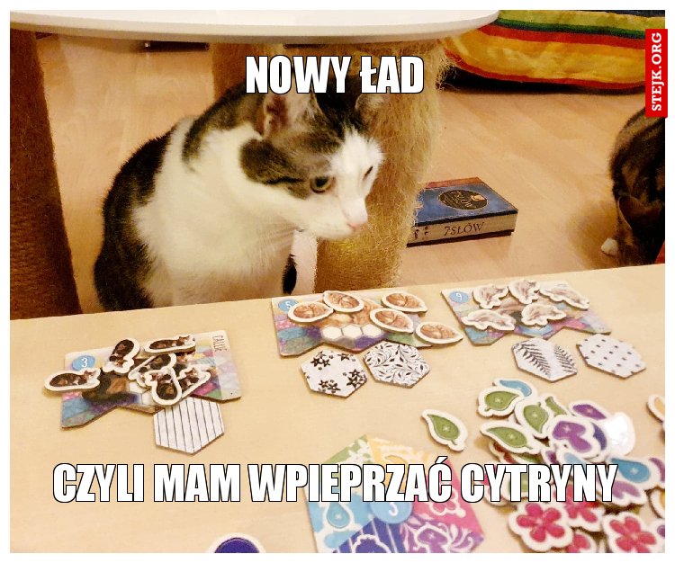 nowy ład