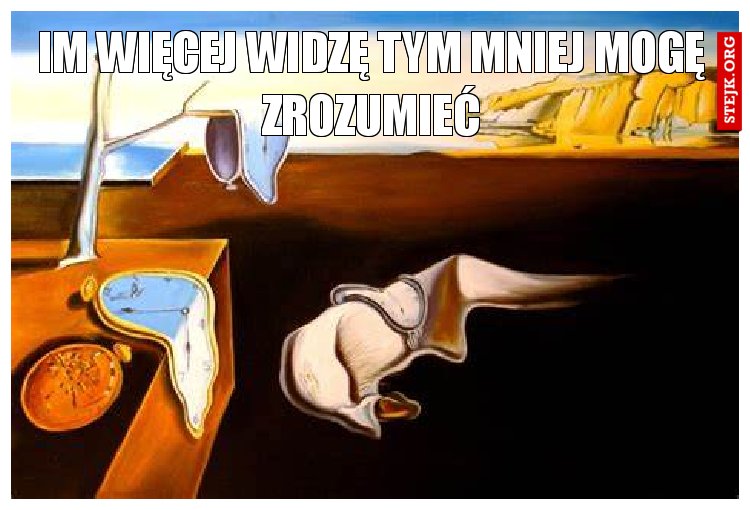 IM WIĘCEJ WIDZĘ TYM MNIEJ MOGĘ ZROZUMIEĆ