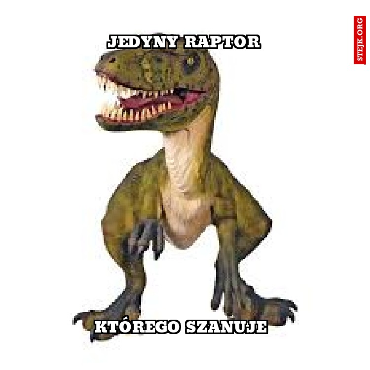 Jedyny raptor
