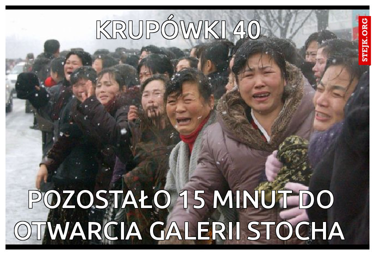 krupówki 40