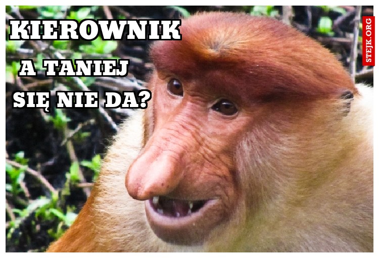 KIEROWNIK