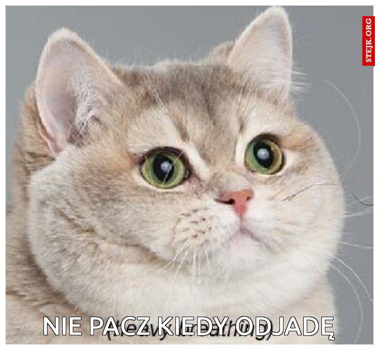Nie pacz kiedy odjadę