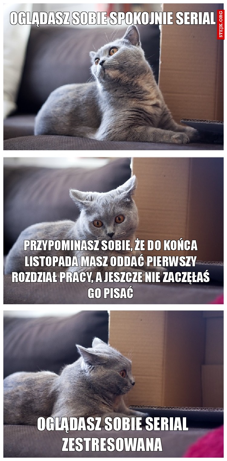 OGLĄDASZ SOBIE SPOKOJNIE SERIAL