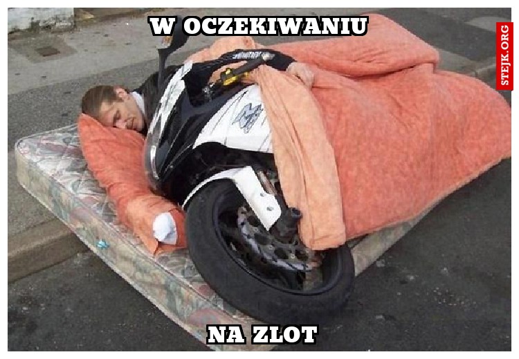 w oczekiwaniu 