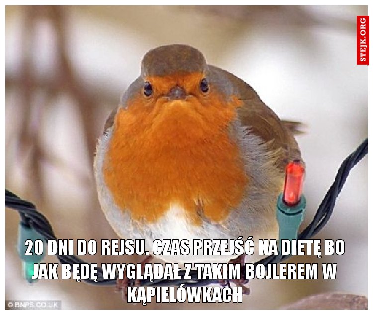 20 dni do rejsu. czas przejść na dietę bo jak będę wyglądał z takim bojlerem w kąpielówkach